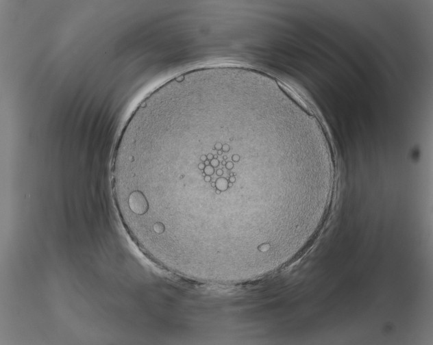 X0000115201197200912091127