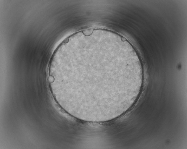 X0000115201198200912091127