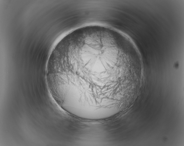 X0000115201199200912091127