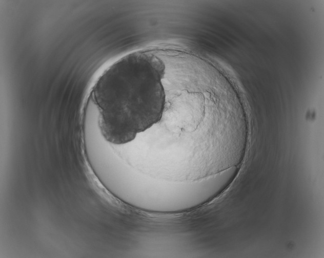 X0000115201200200912091127