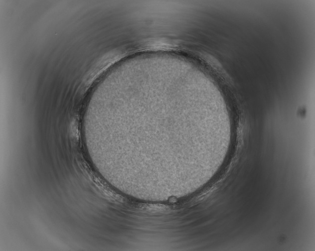 X0000115201209200912091126
