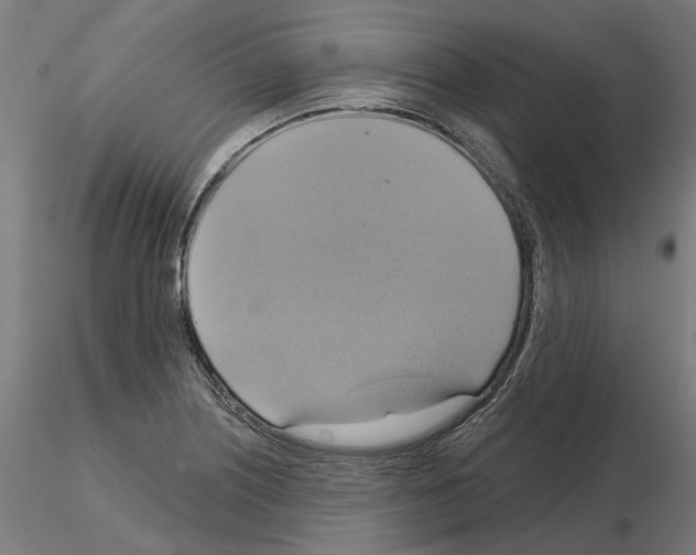 X0000115201226200912091126