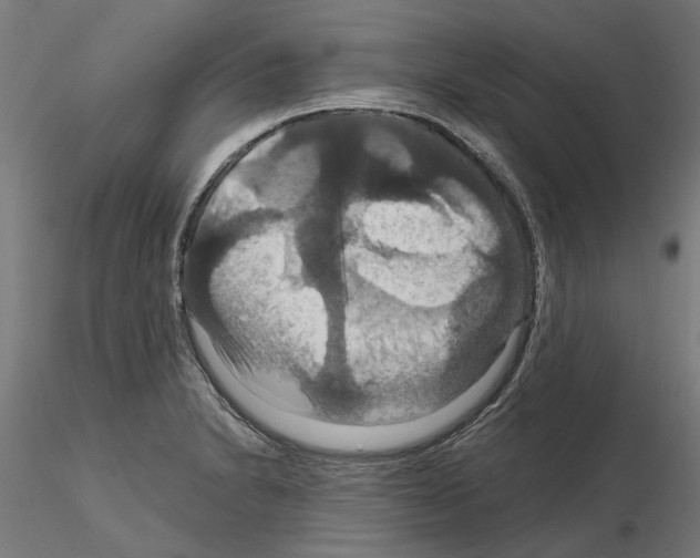 X0000115201230200912091126