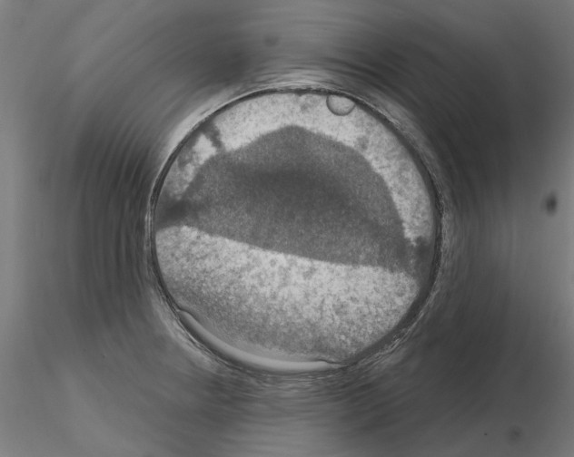 X0000115201234200912091127