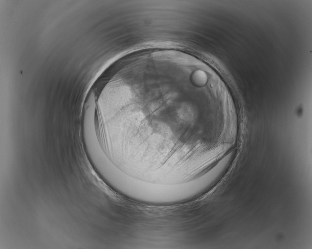 X0000115201236200912091127