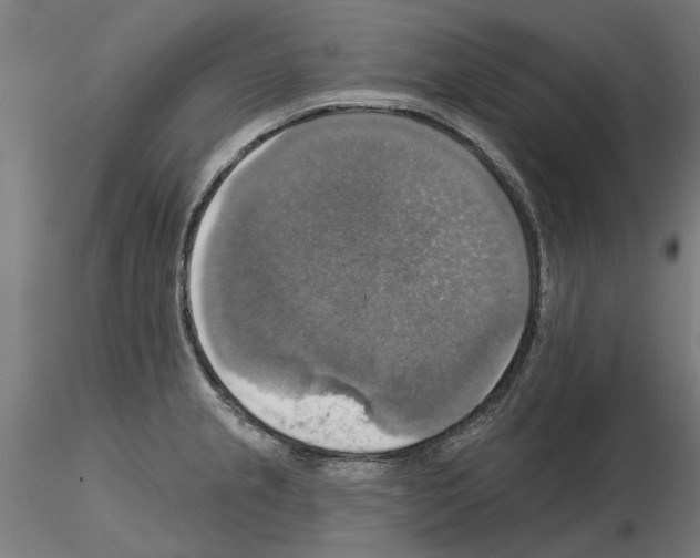 X0000115201237200912091127