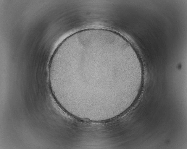 X0000115201238200912091127