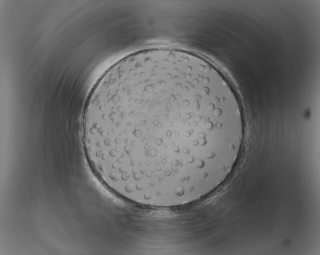 X0000115201239200912091127