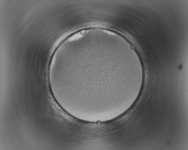 X0000115201240200912091127