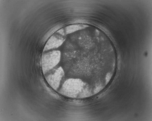 X0000115201241200912091127