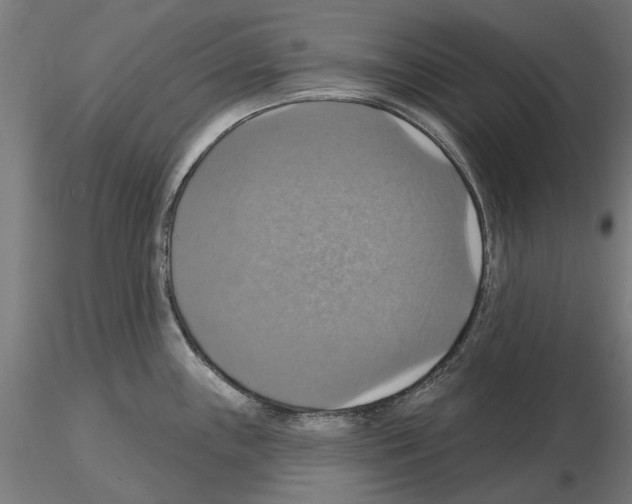 X0000115201243200912091127