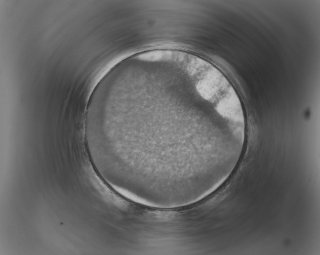 X0000115201244200912091127