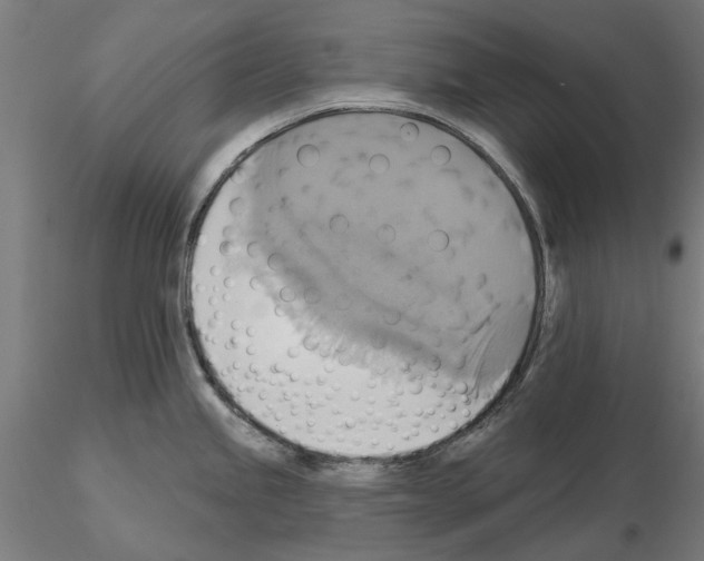 X0000115201245200912091127