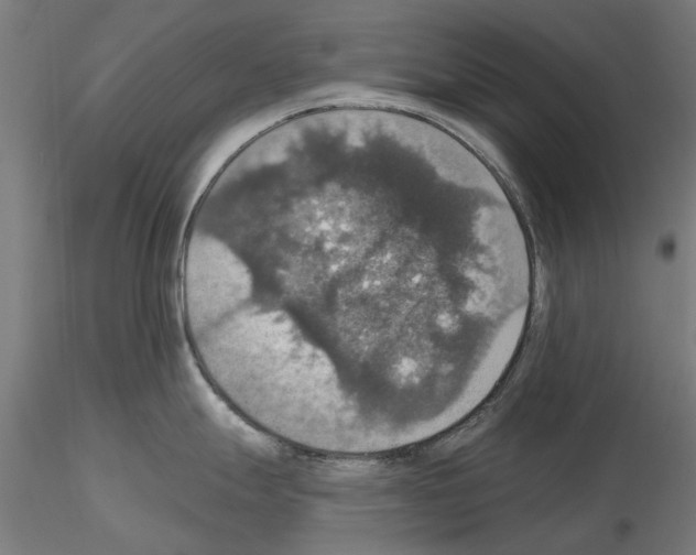 X0000115201247200912091127