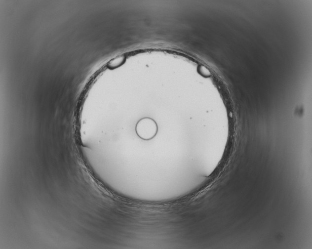 X0000115201264200912091126