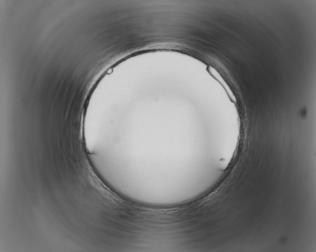 X0000115201276200912091126