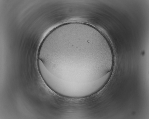 X0000115201288200912091125