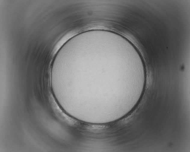 X0000115201290200912091125