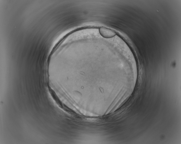 X0000115201295200912091125