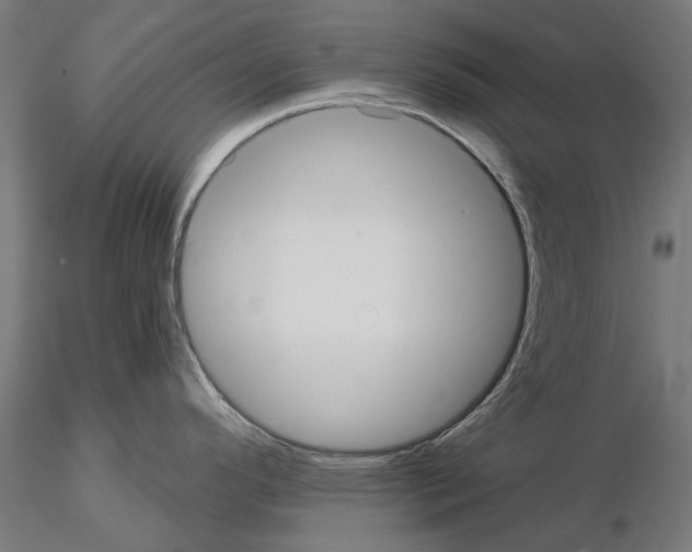 X0000115201296200912091125
