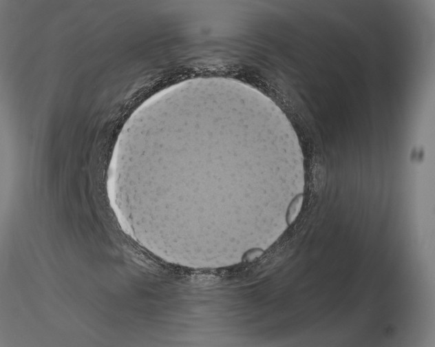 X0000115201297200912091125