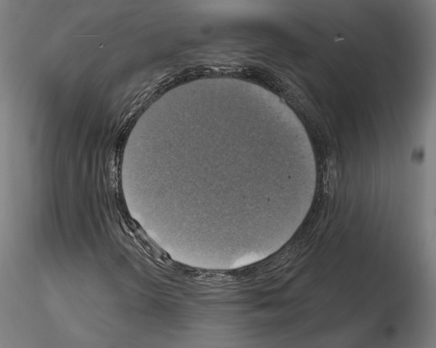 X0000115201298200912091125