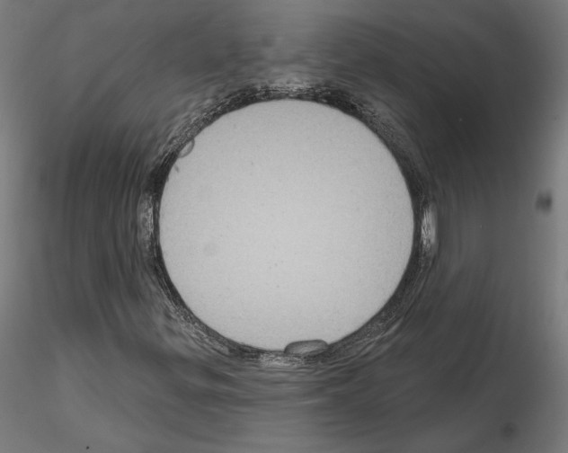 X0000115201299200912091125