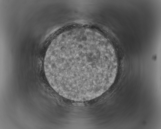X0000115201302200912091125