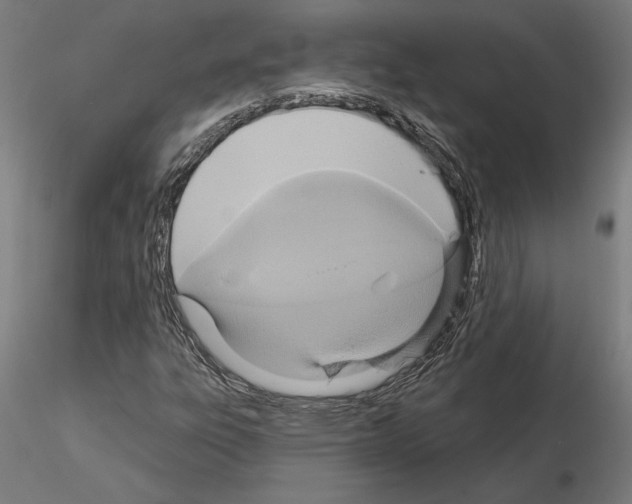 X0000115201303200912091125