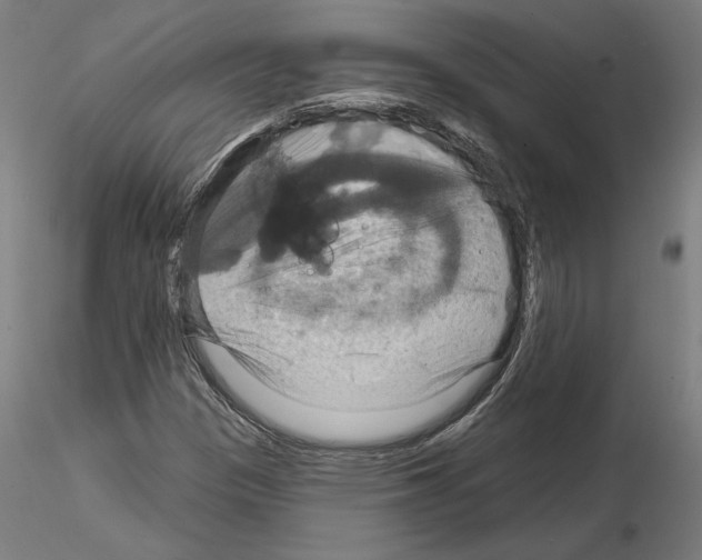 X0000115201305200912091125