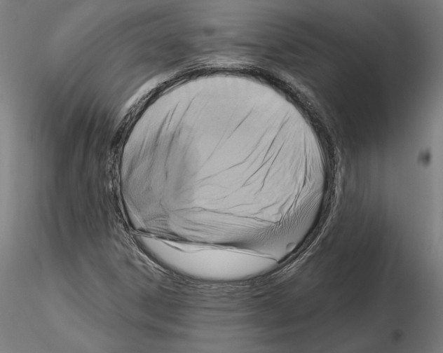 X0000115201306200912091125