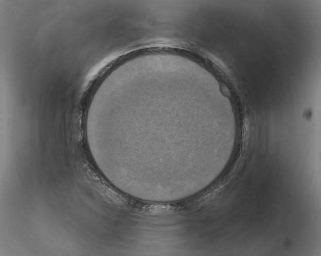 X0000115201310200912091125