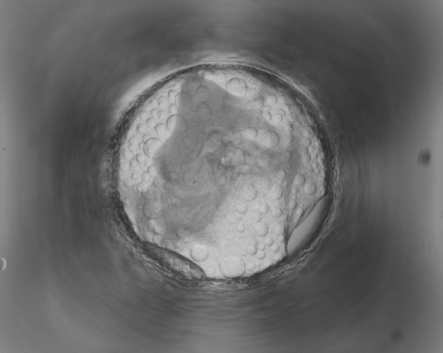 X0000115201311200912091125