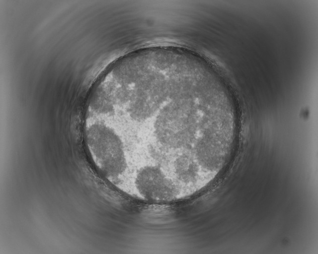 X0000115201313200912091125