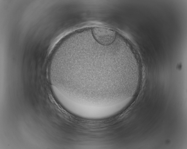 X0000115201318200912091125