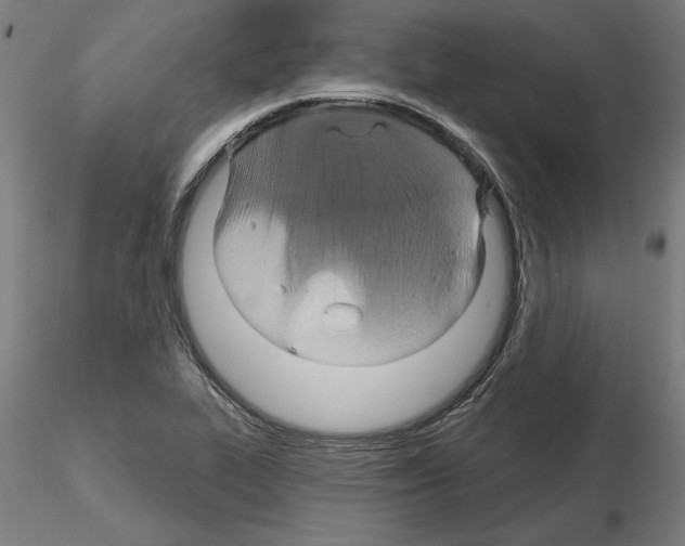 X0000115201319200912091125