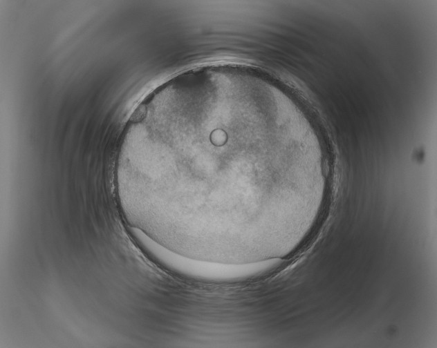 X0000115201321200912091125