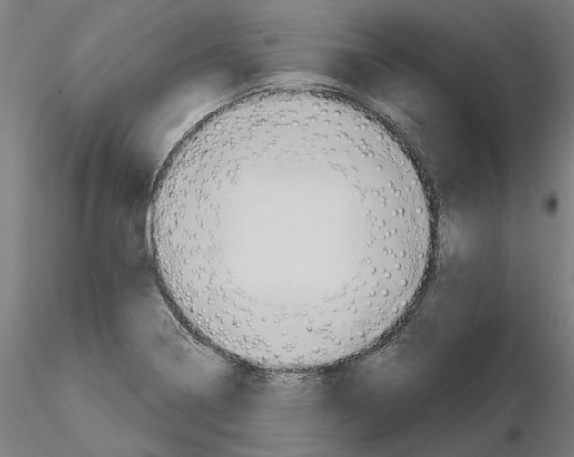X0000115201322200912091125