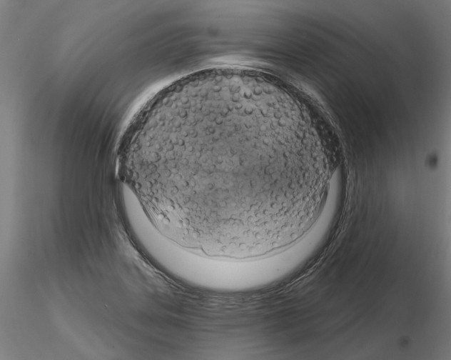 X0000115201323200912091125