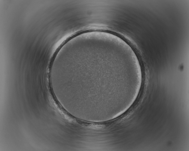 X0000115201325200912091125