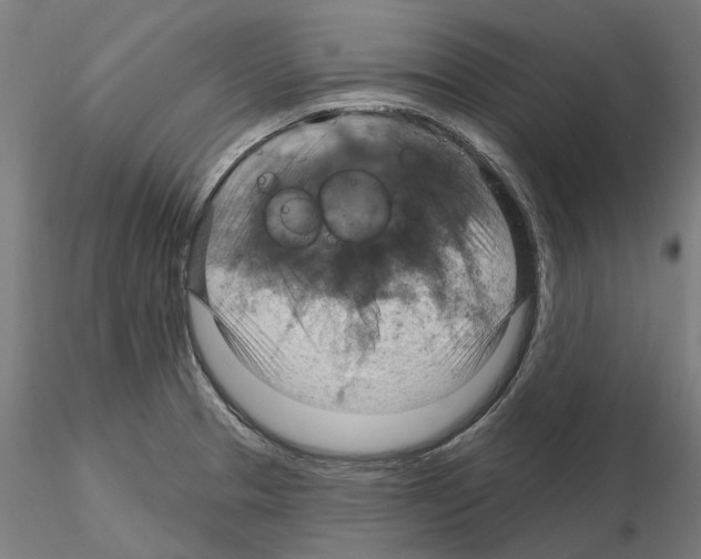 X0000115201329200912091125