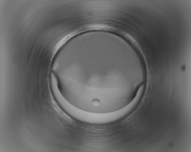 X0000115201330200912091125