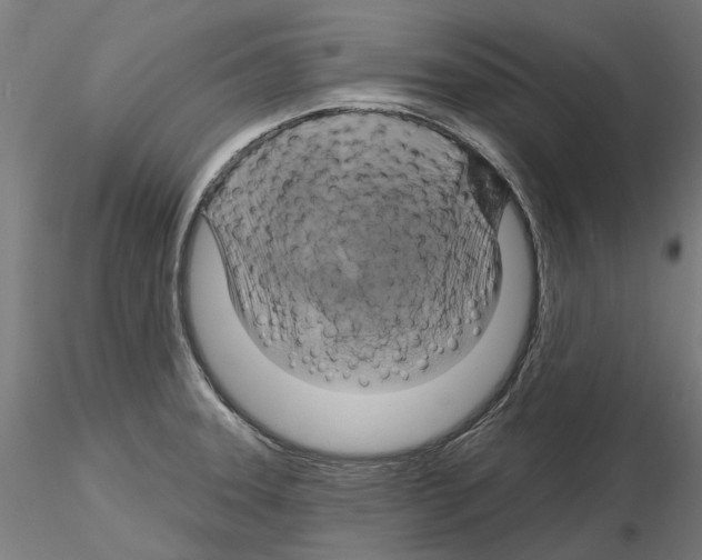 X0000115201331200912091125