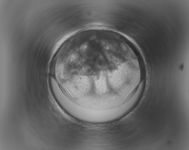X0000115201333200912091125