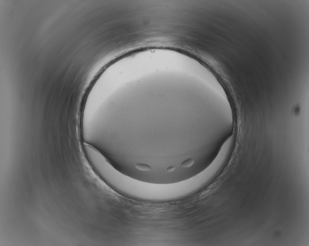 X0000115201334200912091125