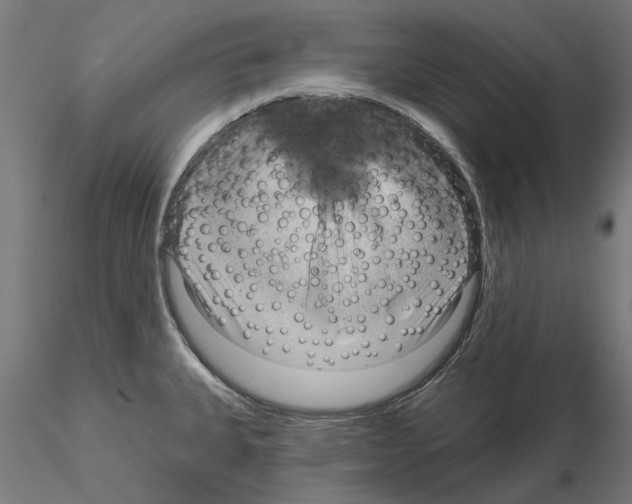 X0000115201335200912091125