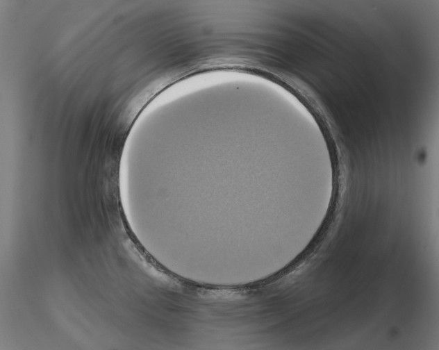 X0000115201337200912091125