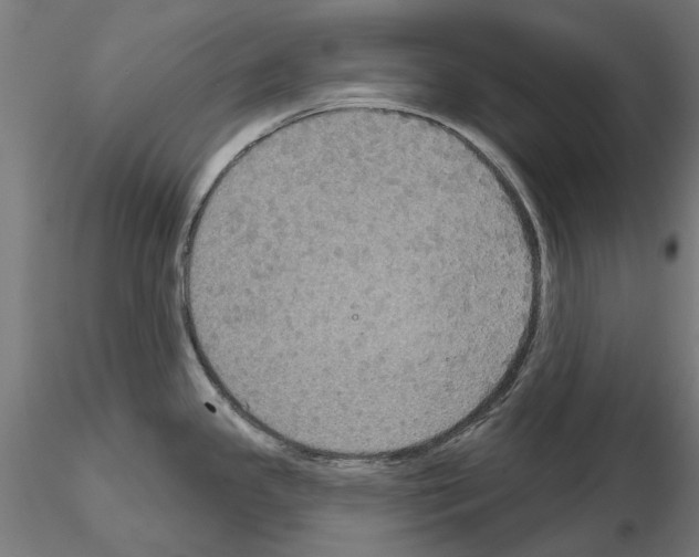 X0000115201341200912091125
