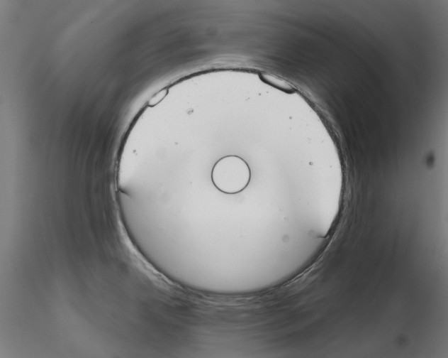 X0000115201342200912091125