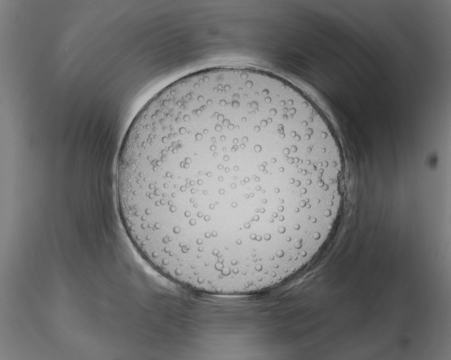 X0000115201343200912091125